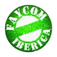 FAYCOM  FAYCOM